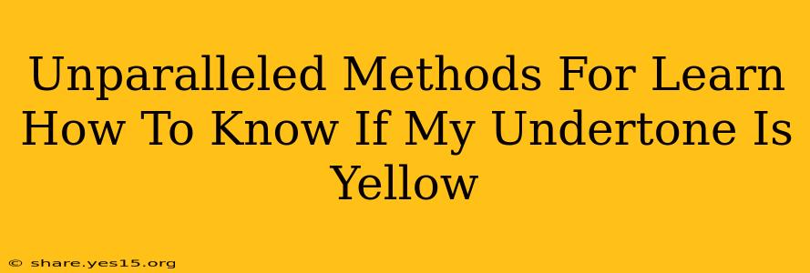 Unparalleled Methods For Learn How To Know If My Undertone Is Yellow